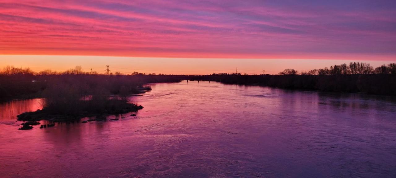 Sur Les Bords De Loire Leilighet Montlouis-sur-Loire Eksteriør bilde